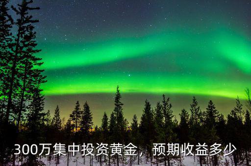 300萬集中投資黃金，預(yù)期收益多少