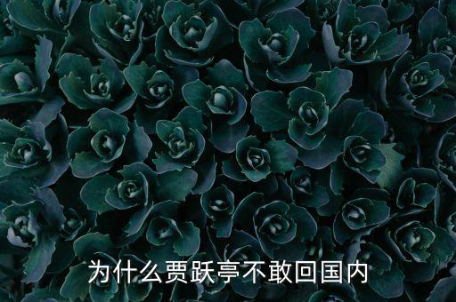 賈躍亭為什么跑到國(guó)外,為什么賈躍亭不敢回國(guó)內(nèi)