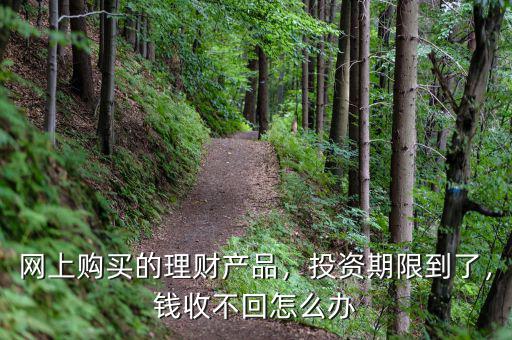 網(wǎng)上購(gòu)買的理財(cái)產(chǎn)品，投資期限到了，錢收不回怎么辦
