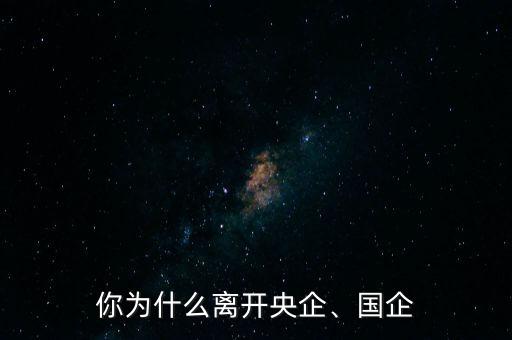 你為什么離開央企、國企