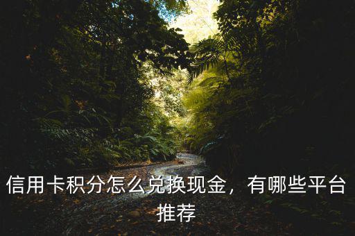 信用卡積分怎么兌換現(xiàn)金，有哪些平臺(tái)推薦