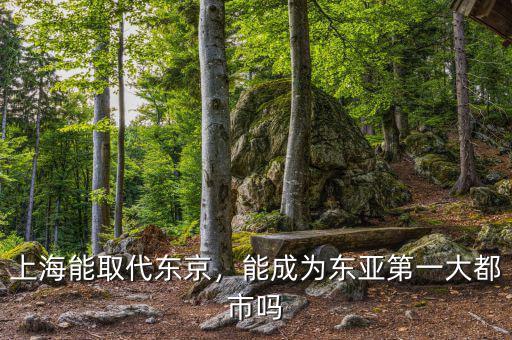 上海能取代東京，能成為東亞第一大都市嗎
