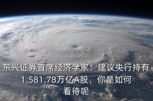 東興證券首席經(jīng)濟(jì)學(xué)家：建議央行持有1.581.78萬億A股，你是如何看待呢