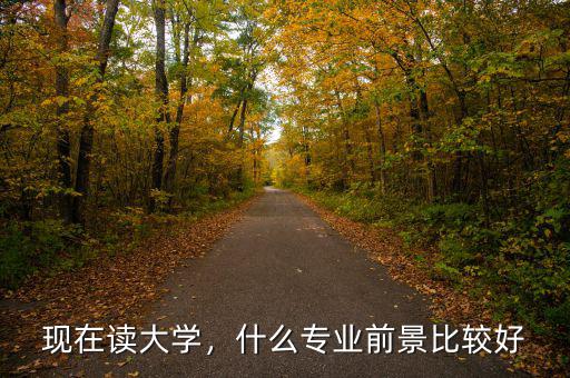 現(xiàn)在讀大學(xué)，什么專業(yè)前景比較好