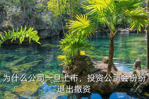 為什么公司一旦上市，投資公司會紛紛退出撤資