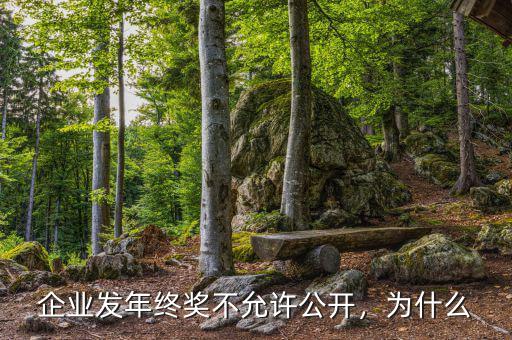 企業(yè)發(fā)年終獎不允許公開，為什么