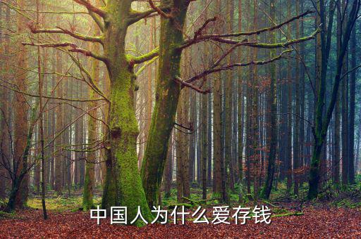 中國(guó)人為什么存錢,中國(guó)人為什么愛(ài)存錢