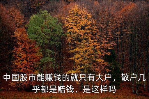 中國(guó)股市能賺錢(qián)的就只有大戶，散戶幾乎都是賠錢(qián)，是這樣嗎