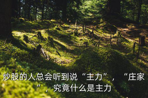 炒股的人總會聽到說“主力”，“莊家”，究竟什么是主力