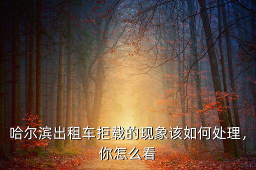 哈爾濱出租車拒載的現(xiàn)象該如何處理，你怎么看