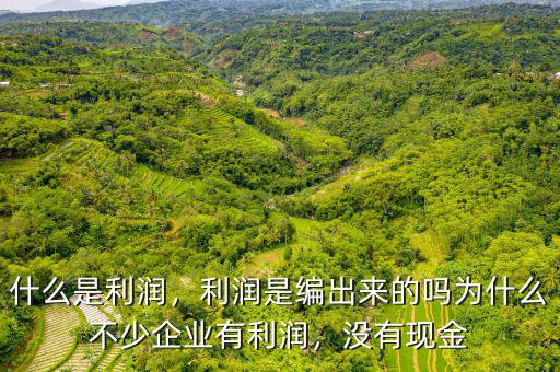 什么是利潤，利潤是編出來的嗎為什么不少企業(yè)有利潤，沒有現(xiàn)金