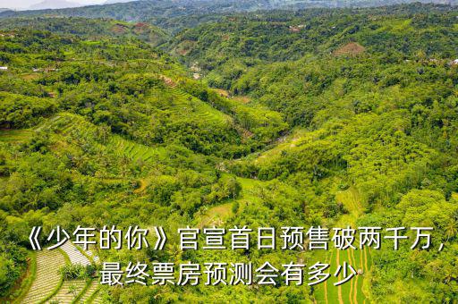 《少年的你》官宣首日預(yù)售破兩千萬，最終票房預(yù)測會(huì)有多少