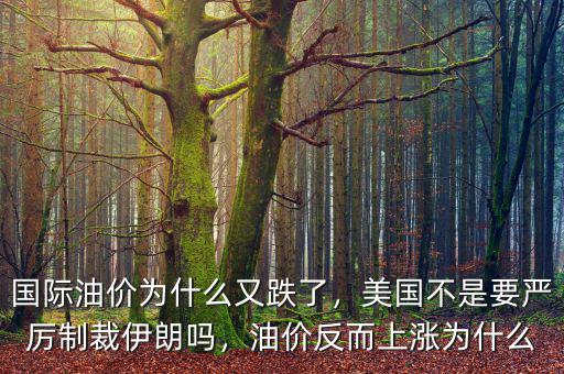 國(guó)際油價(jià)為什么又跌了，美國(guó)不是要嚴(yán)厲制裁伊朗嗎，油價(jià)反而上漲為什么