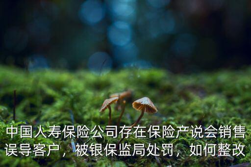 中國(guó)人壽保險(xiǎn)公司存在保險(xiǎn)產(chǎn)說(shuō)會(huì)銷(xiāo)售誤導(dǎo)客戶(hù)，被銀保監(jiān)局處罰，如何整改