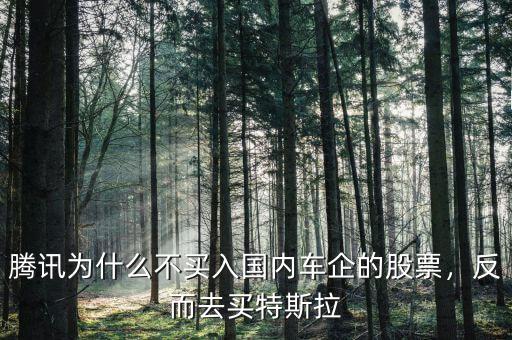 騰訊為什么不買入國內(nèi)車企的股票，反而去買特斯拉
