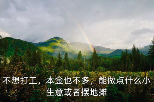 不想打工，本金也不多，能做點什么小生意或者擺地攤