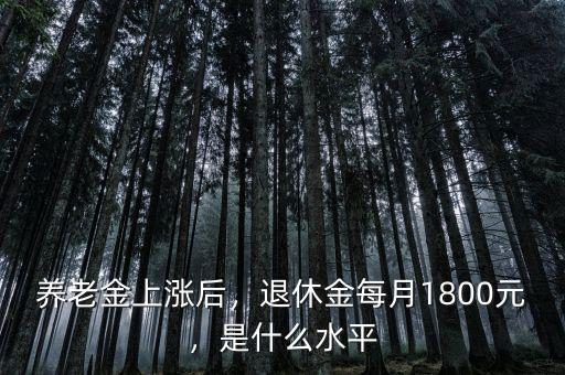 養(yǎng)老金上漲后，退休金每月1800元，是什么水平