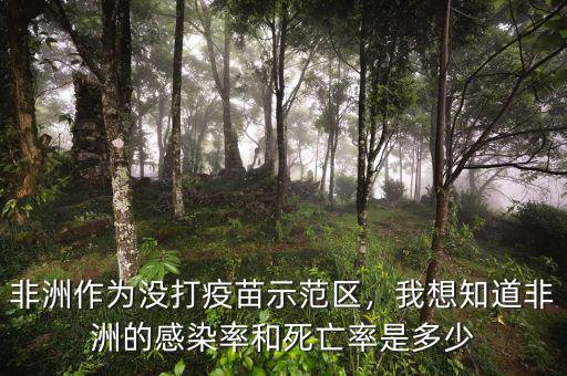 非洲作為沒(méi)打疫苗示范區(qū)，我想知道非洲的感染率和死亡率是多少