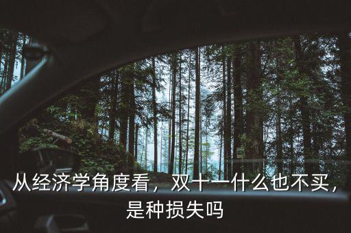 從經(jīng)濟(jì)學(xué)角度看，雙十一什么也不買，是種損失嗎