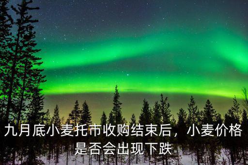 九月底小麥托市收購結(jié)束后，小麥價格是否會出現(xiàn)下跌