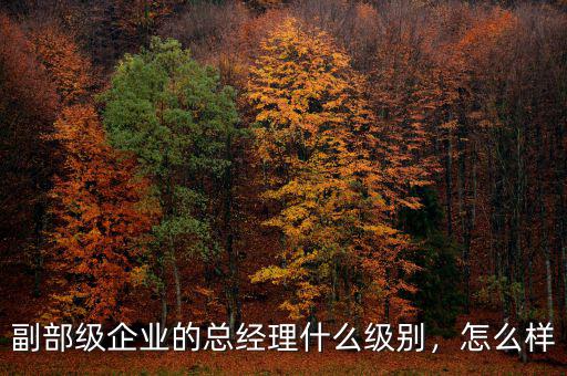 副部級(jí)企業(yè)的總經(jīng)理什么級(jí)別，怎么樣