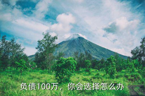 負債100萬，你會選擇怎么辦