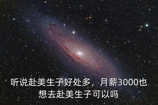 聽(tīng)說(shuō)赴美生子好處多，月薪3000也想去赴美生子可以嗎