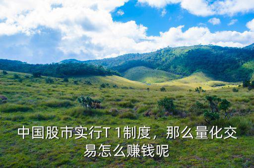 中國股市實行T 1制度，那么量化交易怎么賺錢呢