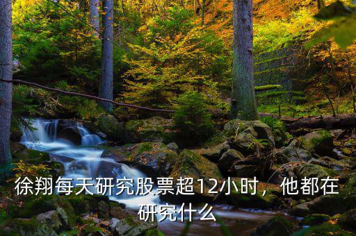 怎么查徐翔持有的股票,徐翔買賣過(guò)的股票有哪些