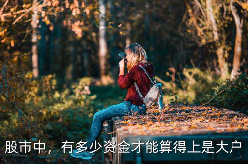 股市中，有多少資金才能算得上是大戶