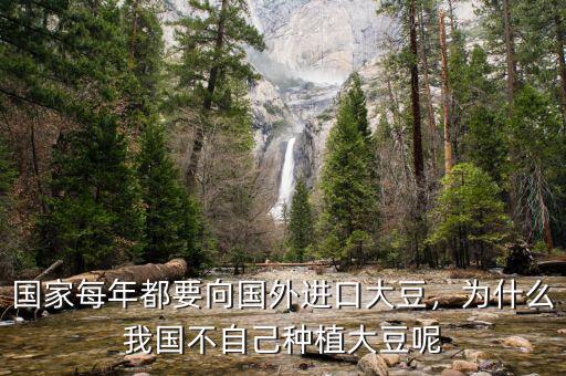 國家每年都要向國外進口大豆，為什么我國不自己種植大豆呢