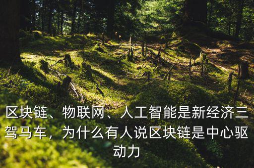 區(qū)塊鏈、物聯(lián)網(wǎng)、人工智能是新經(jīng)濟(jì)三駕馬車，為什么有人說區(qū)塊鏈?zhǔn)侵行尿?qū)動力