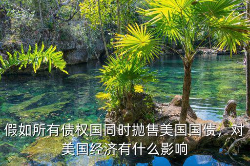 假如所有債權(quán)國同時(shí)拋售美國國債，對(duì)美國經(jīng)濟(jì)有什么影響