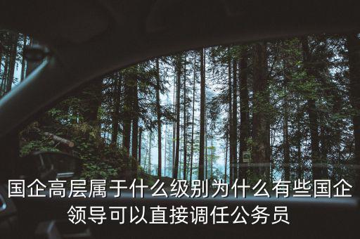 國企高層屬于什么級(jí)別為什么有些國企領(lǐng)導(dǎo)可以直接調(diào)任公務(wù)員