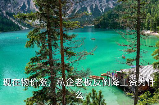 現(xiàn)在物價漲，私企老板反倒降工資為什么