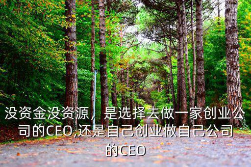 沒資金沒資源，是選擇去做一家創(chuàng)業(yè)公司的CEO,還是自己創(chuàng)業(yè)做自己公司的CEO