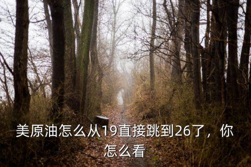 美原油怎么從19直接跳到26了，你怎么看