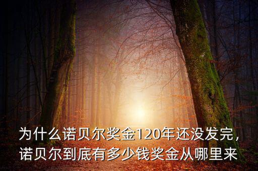 為什么諾貝爾獎金120年還沒發(fā)完，諾貝爾到底有多少錢獎金從哪里來