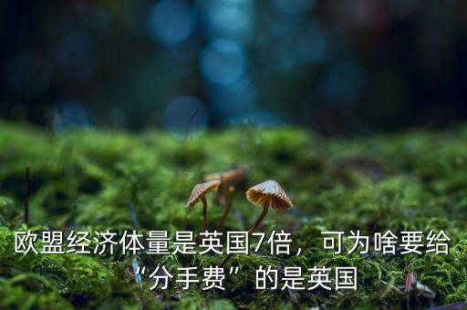 歐盟經(jīng)濟(jì)體量是英國7倍，可為啥要給“分手費(fèi)”的是英國