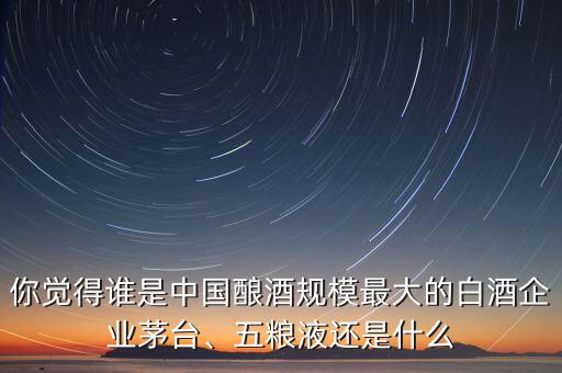 你覺得誰是中國釀酒規(guī)模最大的白酒企業(yè)茅臺、五糧液還是什么