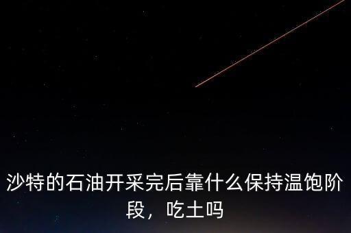 沙特的石油開采完后靠什么保持溫飽階段，吃土嗎