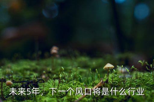 未來5年，下一個風(fēng)口將是什么行業(yè)