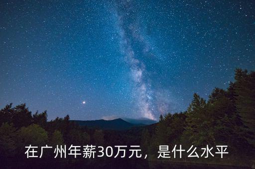在廣州年薪30萬(wàn)元，是什么水平