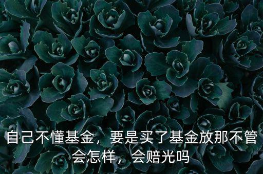 自己不懂基金，要是買了基金放那不管會怎樣，會賠光嗎