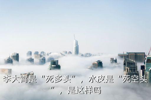 李大霄是“死多頭”，水皮是“死空頭”，是這樣嗎