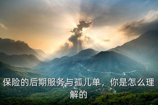 保險的后期服務(wù)與孤兒單，你是怎么理解的