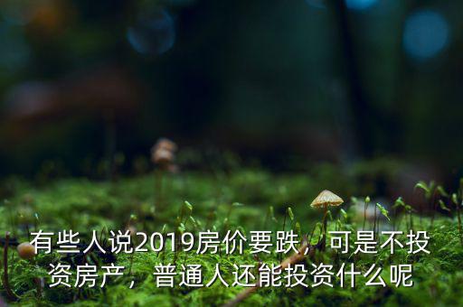 有些人說2019房價要跌，可是不投資房產(chǎn)，普通人還能投資什么呢