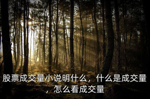 股票成交量小說明什么，什么是成交量，怎么看成交量