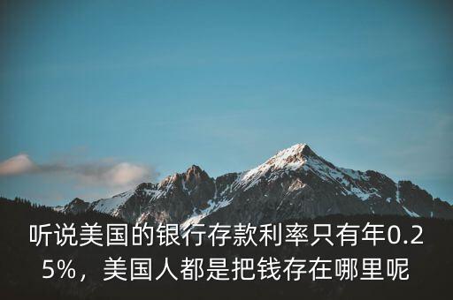 聽說美國的銀行存款利率只有年0.25%，美國人都是把錢存在哪里呢