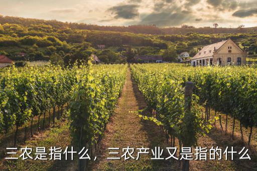 三農(nóng)是指什么，三農(nóng)產(chǎn)業(yè)又是指的什么